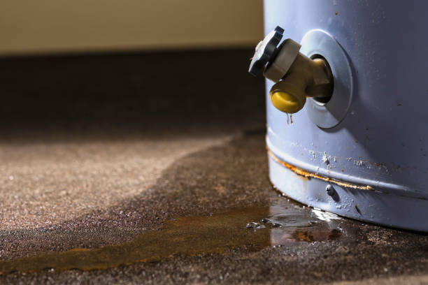 Best 24/7 water damage repair  in Ocala Estates, FL