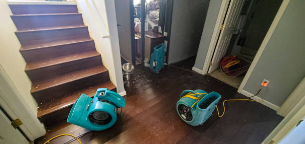 Best Mold removal after water damage  in Ocala Estates, FL