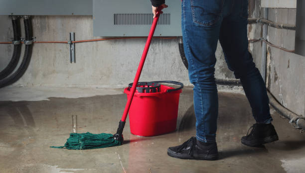 Best Emergency water damage restoration  in Ocala Estates, FL