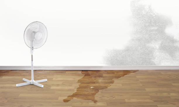 Best Fire Damage Restoration  in Ocala Estates, FL