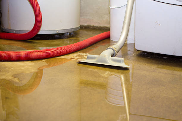 Best Water damage restoration mold remediation  in Ocala Estates, FL