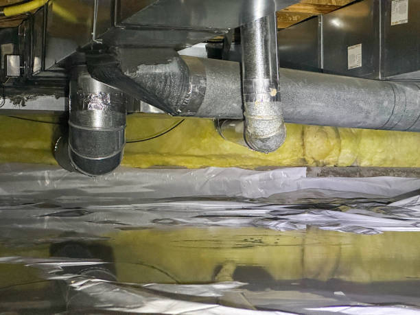 Best 24-hour water damage restoration  in Ocala Estates, FL