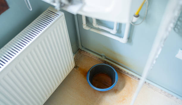 Water damage restoration mold remediation in FL