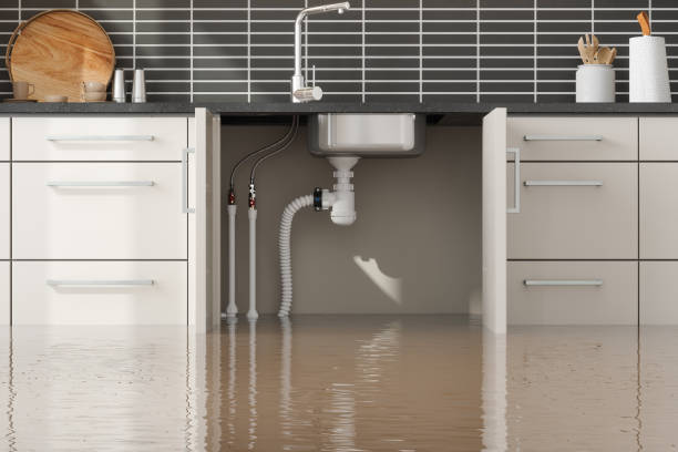 Best Water damage cleanup near me  in Ocala Estates, FL