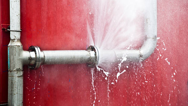 Best Water damage mitigation services  in Ocala Estates, FL