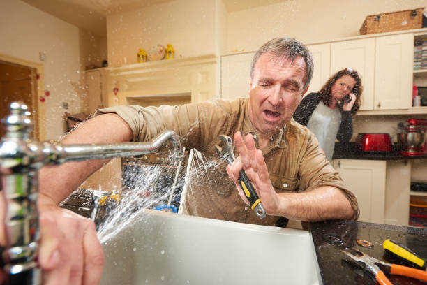 Best Water damage contractors near me  in Ocala Estates, FL